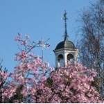 St Mary's in blossom time